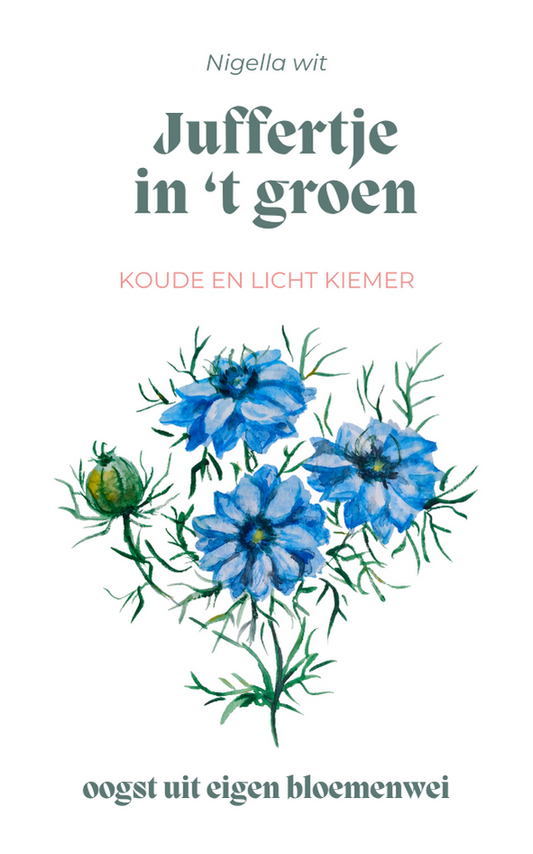 Juffertje int groen - wit