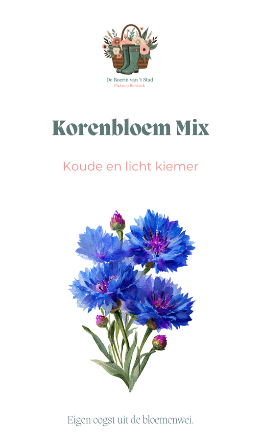 Korenbloem