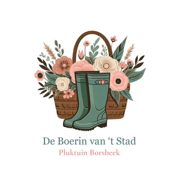 De Boerin van 't Stad